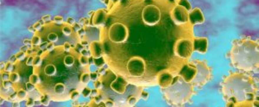 Zoomed in bacteria or virus